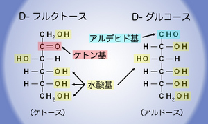 図3炭水化物構造1.jpg