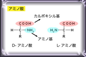 図8アミノ酸.jpg